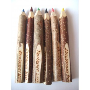 6 crayons de bois couleur